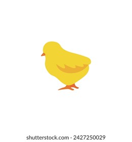 Cute chick on white background