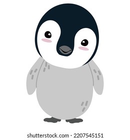 Cute chick Penguin cartoon flat vector