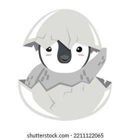 Pollo de pollo con pingüino incubado en huevo