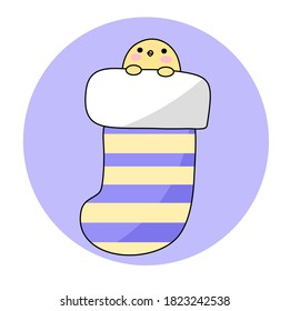 Cute chick with cute sock