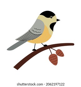 Cute chickadee on a branch with cones. Vector illustration in a trendy hand drawn style. Perfect for a print, postcard or label. Stylized character
