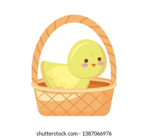 cute chicken in basket wicker