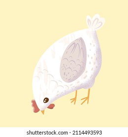 Cute Chicken bird set. Hen sitting on eggs in hen-coop illustration set of domestic birds in hen-house. Happy Easter. Elements isolated on white background. EPS10