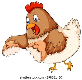 Cute chicken breaking fresh egg