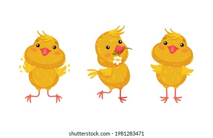 Cute Chicken Carrying Flower in Beak and Jumping Vector Set