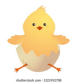 cute chicken cartoon