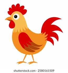 Cute chicken cartoon bird. Suitable for educational posters, logos, children's books and encyclopedias. Children's picture. Vector illustration