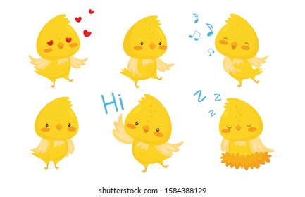 Cute Chicken Cartoon Chracters, Emotional Funny Bird in Different Situations Vector Illustration