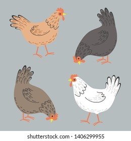 Cute chicken collections vector illustration