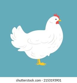 Cute chicken. Contour vector illustration of domestic fowl.