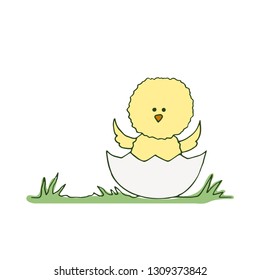 Cute Chicken in cracked eggshell on grass. Vector illustration.