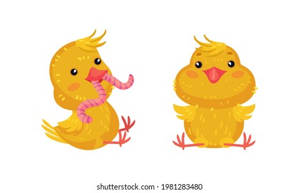 Cute Chicken Eating Worm and Sitting Vector Set