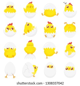 Cute chicken in egg. Easter baby chick, newborn chickens in eggshell and farm kids chicks. Chicken bird in cracked eggs. Isolated cartoon vector illustration icons set