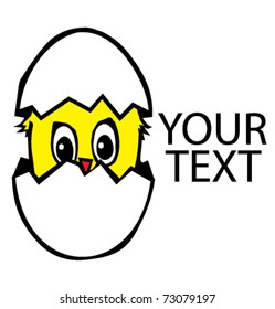 Cute chicken in egg. illustration of chicken in the broken egg. With the place for your simple text.