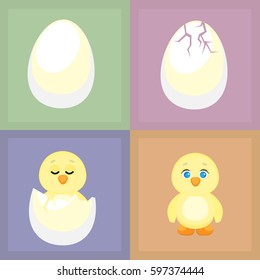 Cute chicken and an egg on separate backgrounds