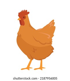 Cute chicken icon. Sticker for social networks, graphic element for website. Toy or mascot, agricultural animal and farming. Love for nature and fauna. Cartoon modern flat vector illustration