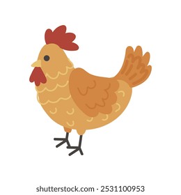 Cute Chicken Illustration - 01