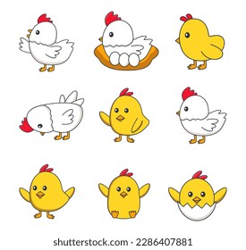 Conjunto de vectores de ilustración de pollo corto