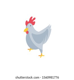 cute chicken on white background vector illustration design