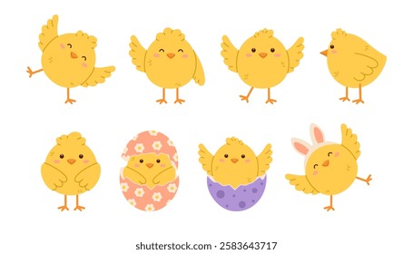 Cute chicken set. Childish chick print for nursery, poster and postcard. Flat isolated vector illustration