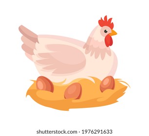 Cute chicken is sitting near her nest with eggs of brown color on white background. Concept of fresh eggs on white background. Flat cartoon vector illustration