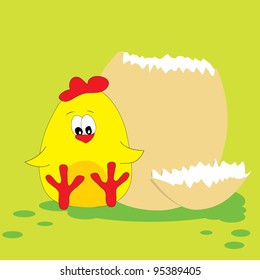 Cute chicken. Vector illustration.