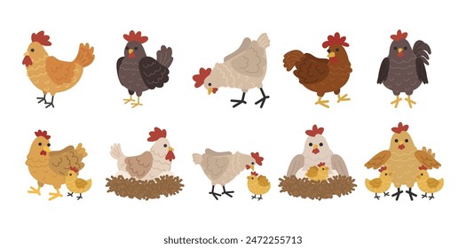 Cute Chicken Vector Set Collection