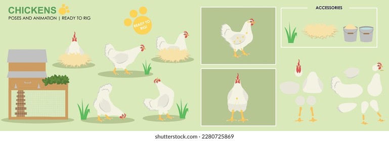 Cute Chicken white character hen ready to animate, multiple angles and poses, farm animals chicken for animation, vector collection with chicken hutch.
