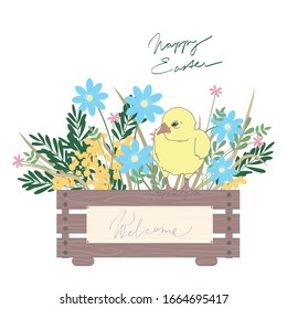 Cubierta linda de pollo y madera con flores de primavera aisladas