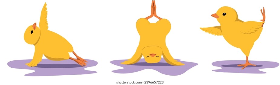 Iconos de vectores de dibujos animados de yoga de pollo fino Ilustración. Concepto de caricatura plana.