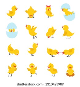 Cute chicks. Cartoon easter baby chickens with eggs. Funny yellow chick vector isolated characters