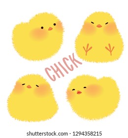 cute chicks character design set vector illustration