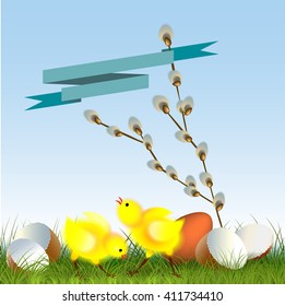 Cute chicks with spring flower against the blue sky