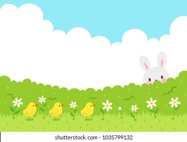 Cute Chicks walking on the grass and cute rabbit hiding behind the bushes