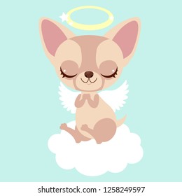 Cute chihuahua angel on the cloud. Funny sticker for a gift. Character for birthday or valentine's day. Children's character.