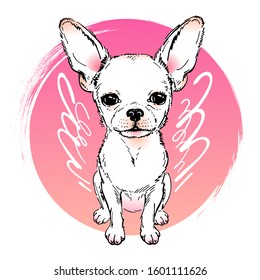 Cute chihuahua with angel wings