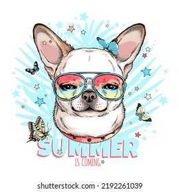 Cute chihuahua with butterflies.Summer is coming  illustration. Stylish image for printing on any surface