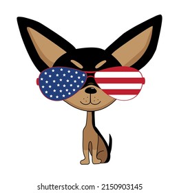 Cute chihuahua dog in american flag sunglasses Hand drawn vector illustration  Good for T shirt print  poster  card  label    other gifts design 