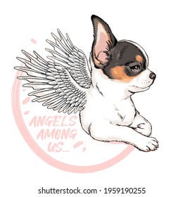 Cute chihuahua dog with angel wings. Vector illustration in hand-drawn style. Angels among us illustration. Stylish image for printing on any surface