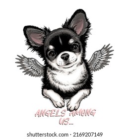 Cute chihuahua dog with angel wings. Vector illustration in hand-drawn style. Stylish image for printing on any surface