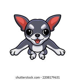 Cute chihuahua dog cartoon posing