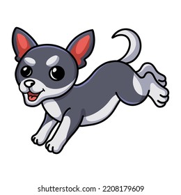 Cute chihuahua dog cartoon running