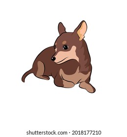 Cute Chihuahua dog collection in different poses in free hand drawing vector illustration style.