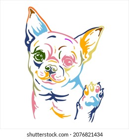 Cute chihuahua dog color contour portrait. Dog head in front view vector illustration isolated on white. For decor, design, print, poster, postcard, sticker, t-shirt, cricut, tattoo and embroidery