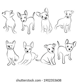 Chihuahua Line Drawing Hd Stock Images Shutterstock