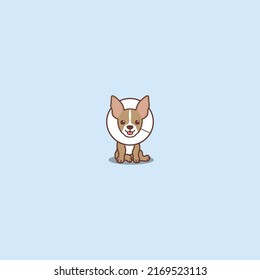 Cute chihuahua dog with elizabethan collar cartoon, vector illustration