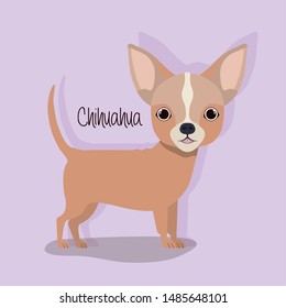 cute chihuahua dog pet character