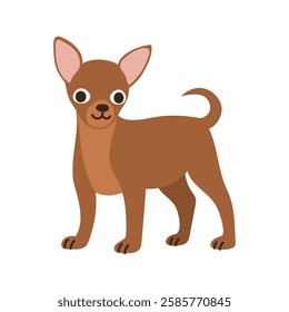 Cute chihuahua dog standing. Pet, breed. Isolated flat vector illustration