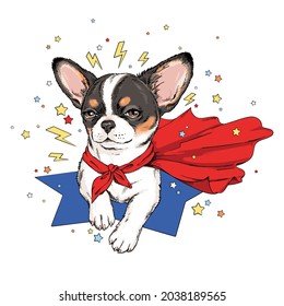 Cute chihuahua dog in superhero cape. Stylish image for printing on any surface	