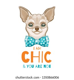 Cute chihuahua dog t-shirt print art design. Cool animal vector, doodle hand drawn style. Tee, child, girl boy funny poster with hipster element. Fashion Puppy character illustration isolated on white